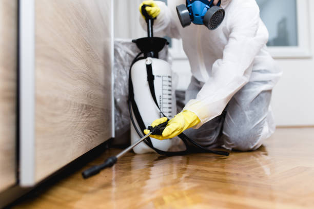 Pest Prevention Services in Candlewick Lake, IL