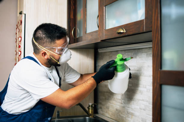 Best Rat Extermination Near Me  in Candlewick Lake, IL